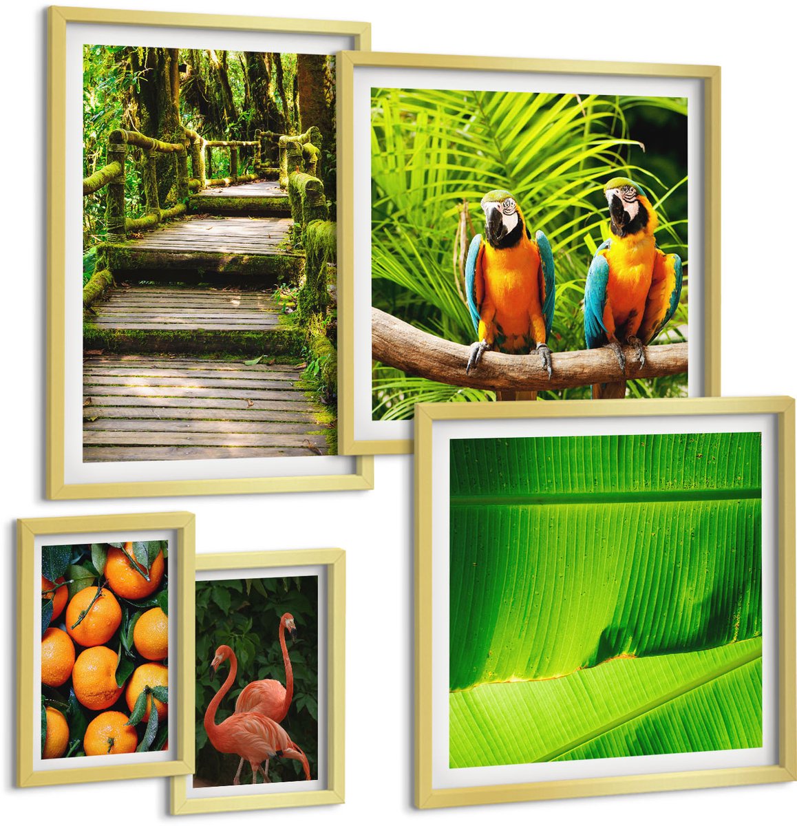 Coloray 5-Delige Schilderij Set - Tropische Natuurthema'S, Exotische Vruchten En Vogels - 50 x 50 cm, 20 x 30 cm En 40 x 60 cm - Schilderijen Set - Wanddecoratie - Woonkamer