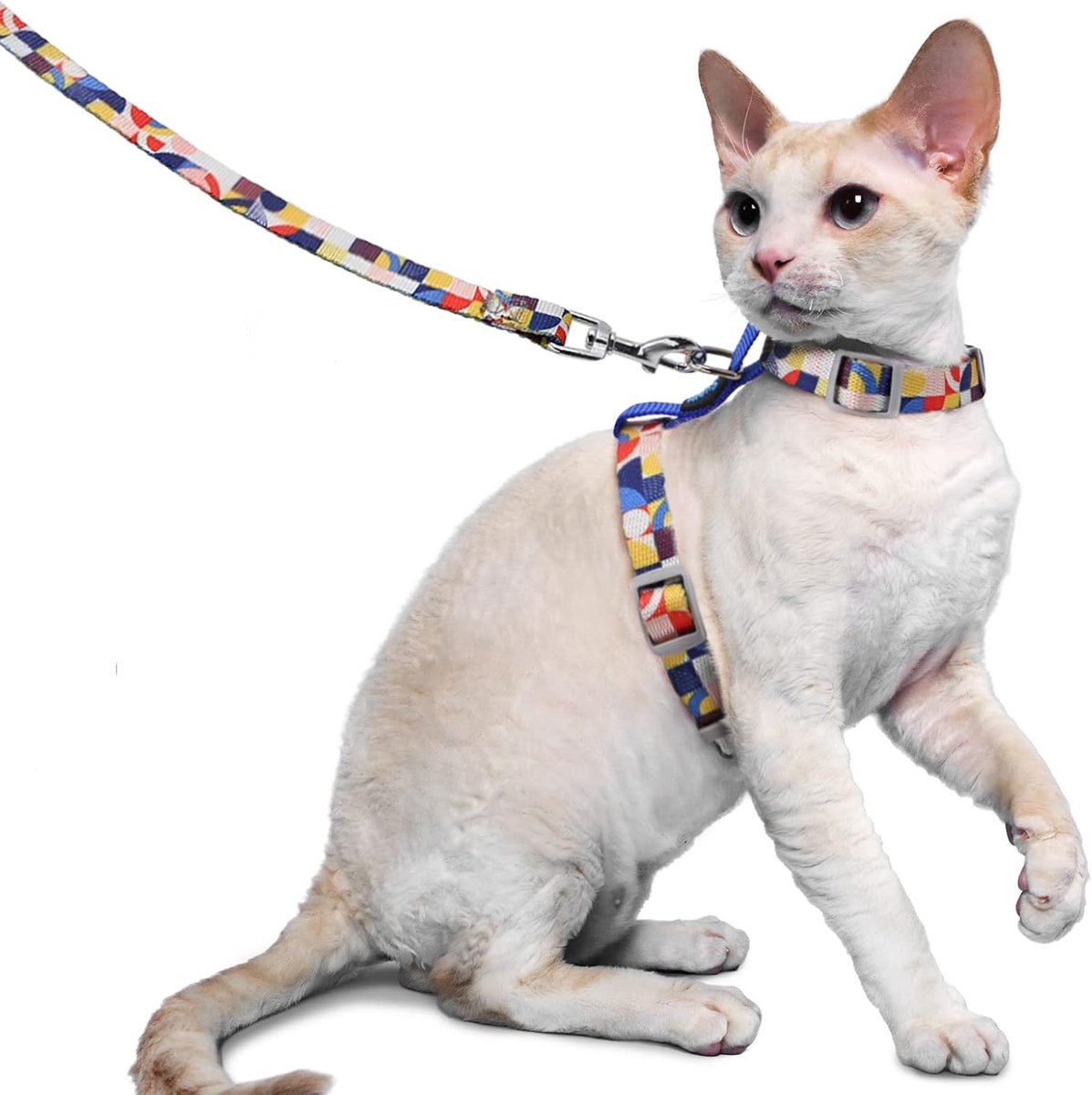 Kattenharnas en riem, ontsnappingsbestendig kattenvest voor kleine grote katten, verstelbare halsbanden, harnassen en riemen voor wandelen, lichtgewicht kittenharnas