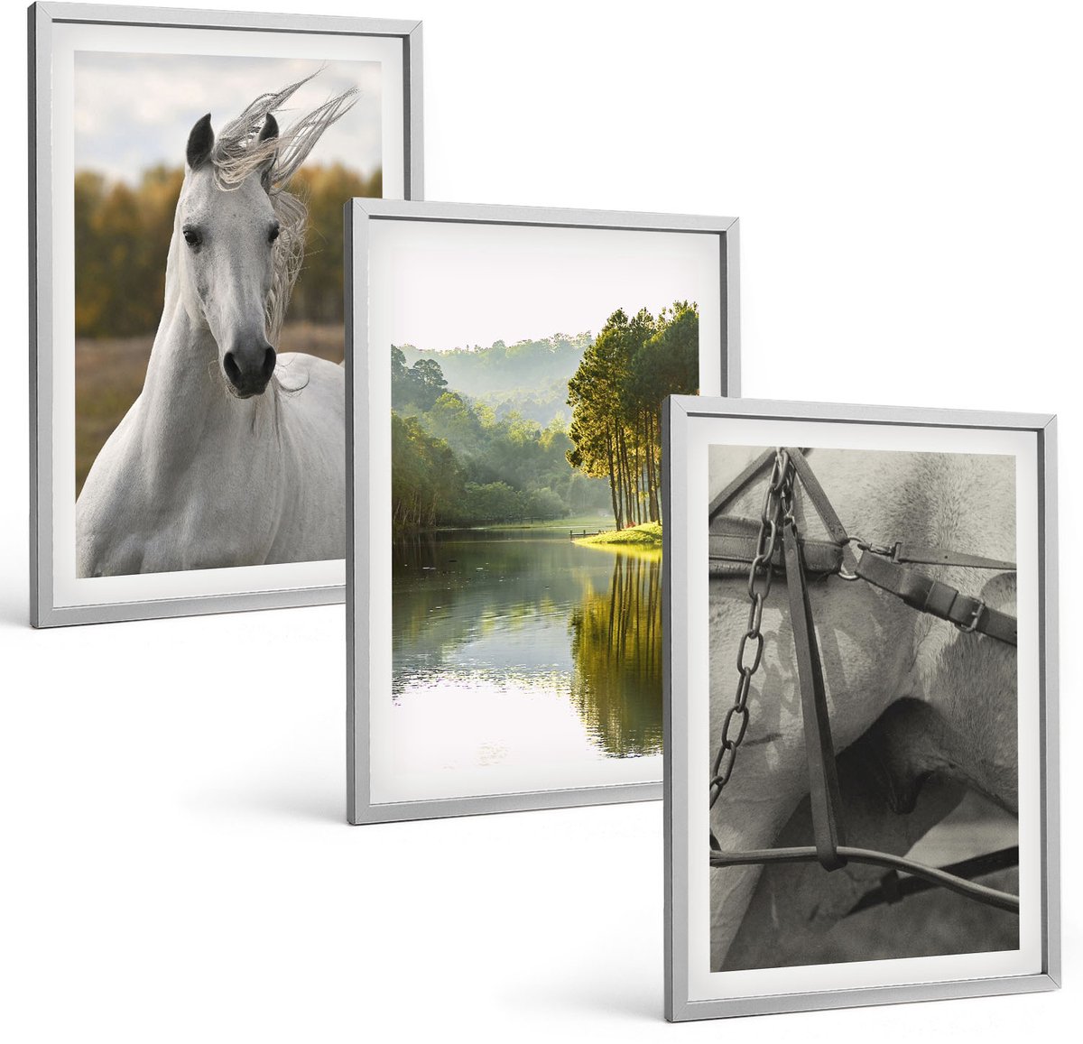 Coloray 3-Delige Schilderij Set - Witte Paarden Aan De Rivier - Natuurlandschap - 40 x 60 cm - Stijlvolle Wanddecoratie - Interieur