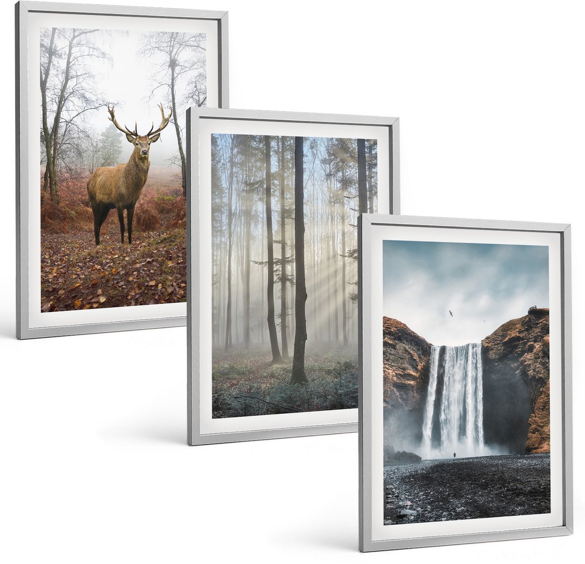 Coloray 3-Delige Schilderij Set - Boslandschappen Wilde Natuur Herten - 40 x 60 cm - Muurdecoratie - Wanddecoratie - Slaapkamer