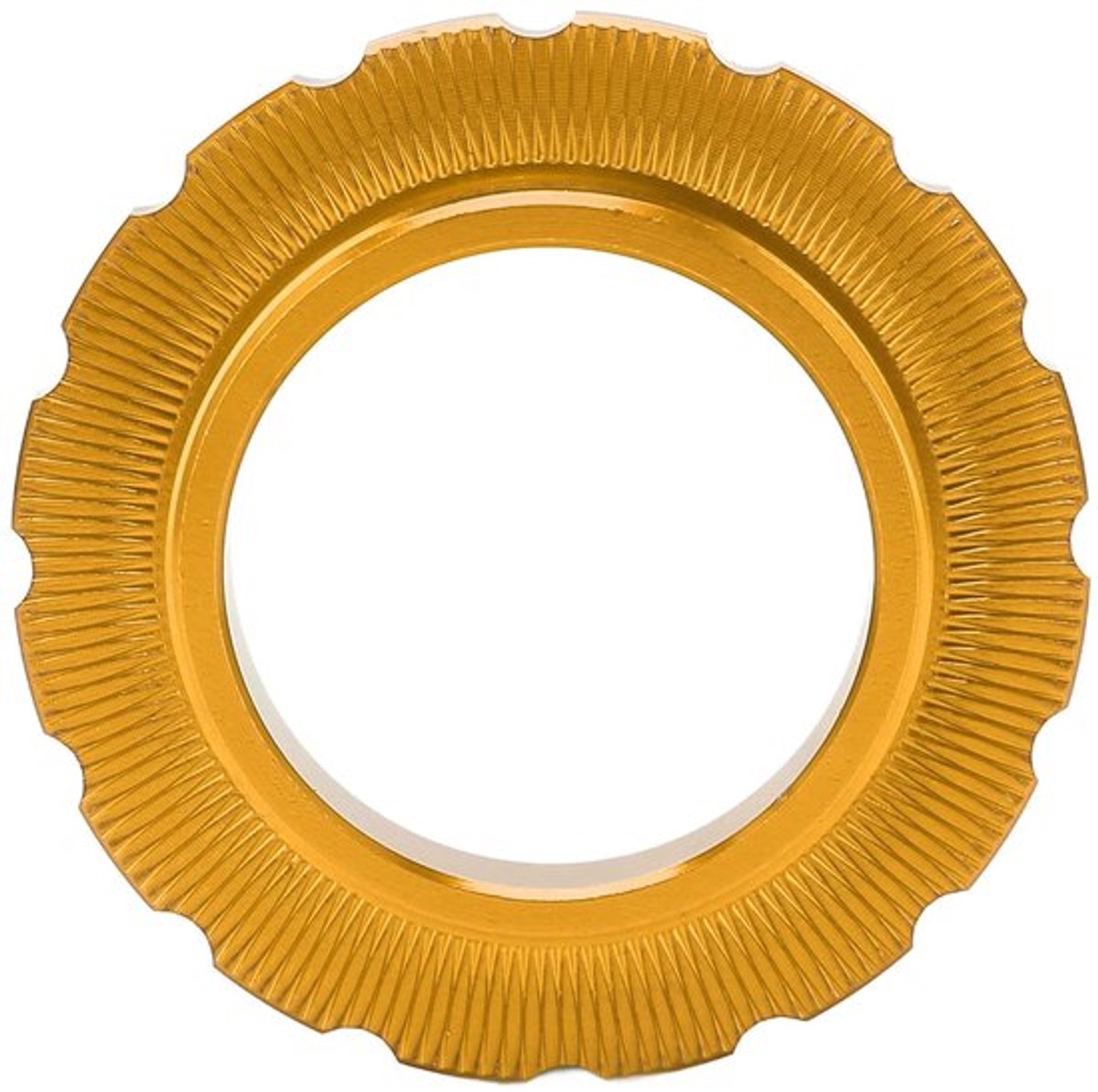 Dailygoods- Lockring Hoogwaardige Aluminium - Lockring Tool - Lockring Verwijderaar