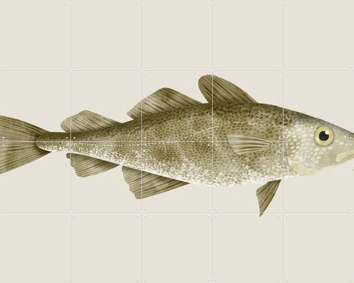 IXXI Codfish, Merel Corduwener - 100 x 80 cm - Gratis ophangtool - Grote wanddecoratie en posters - Illustraties, Keuken, Eetkamer, Woonkamer, Natuur