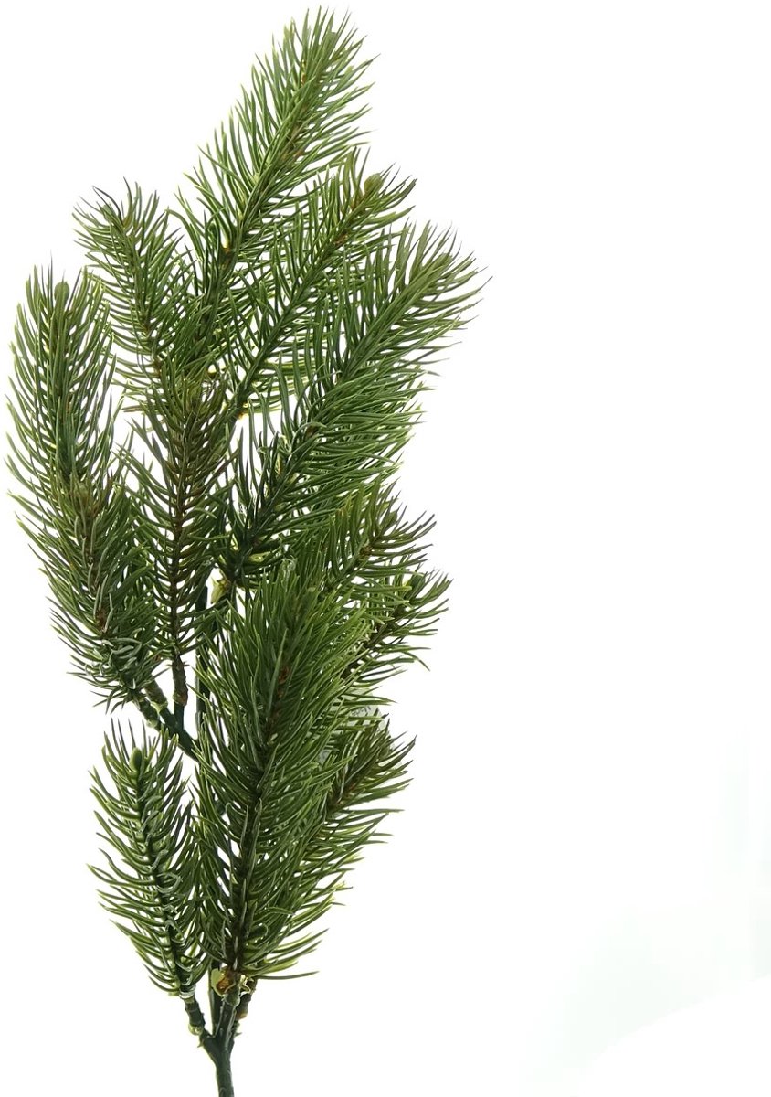 Gasper Kerstdecoratie Dennentak Groen 50 cm - kunststof