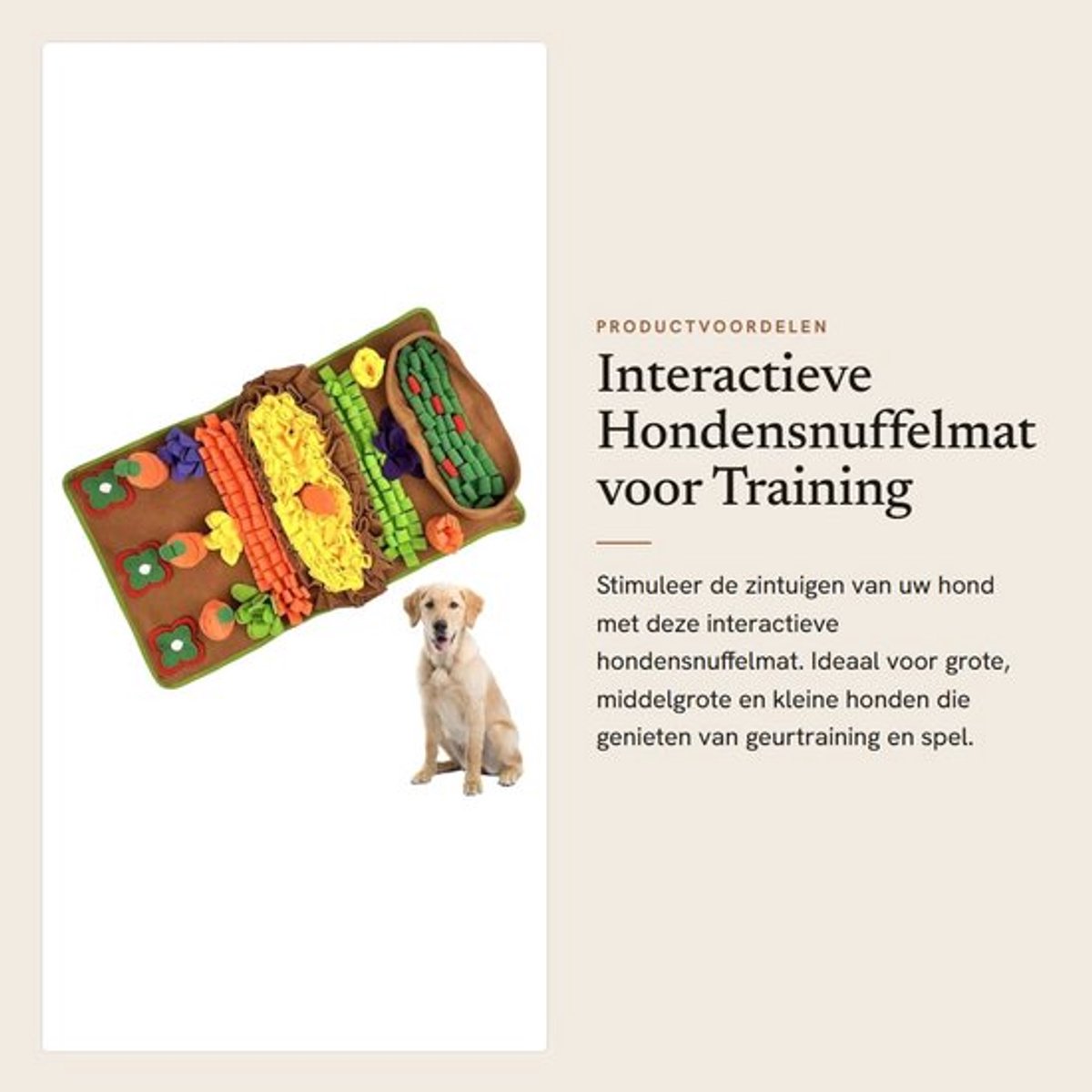 Interactief - Dailygoods- Hondensnuffelmat Wasbaar