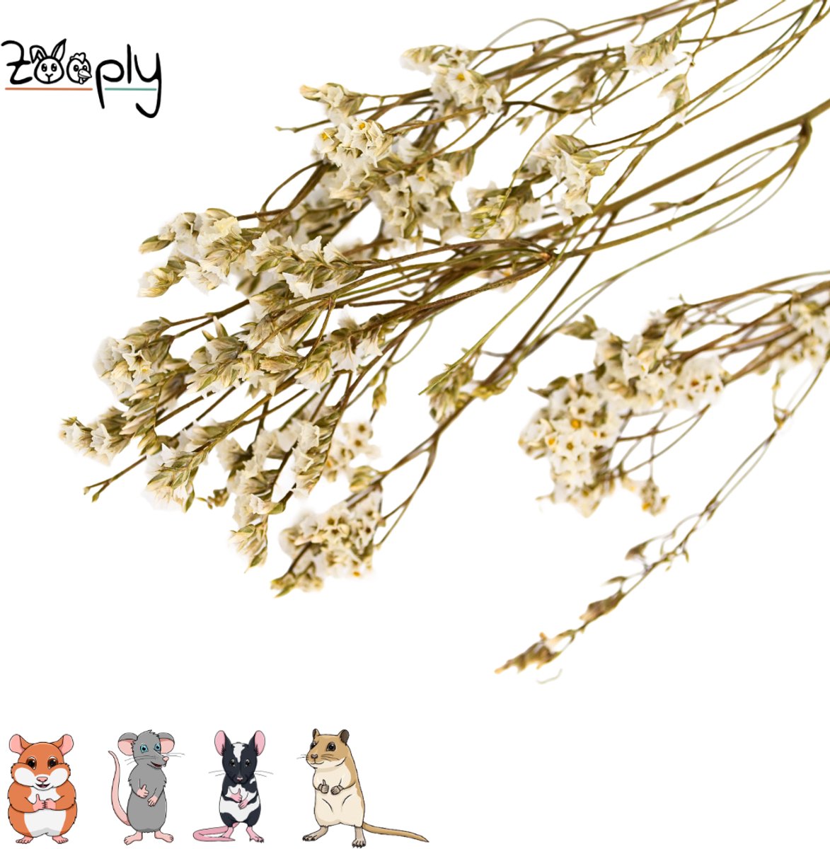 Zooply Lamsoor - Wit - 70 gram - in koker