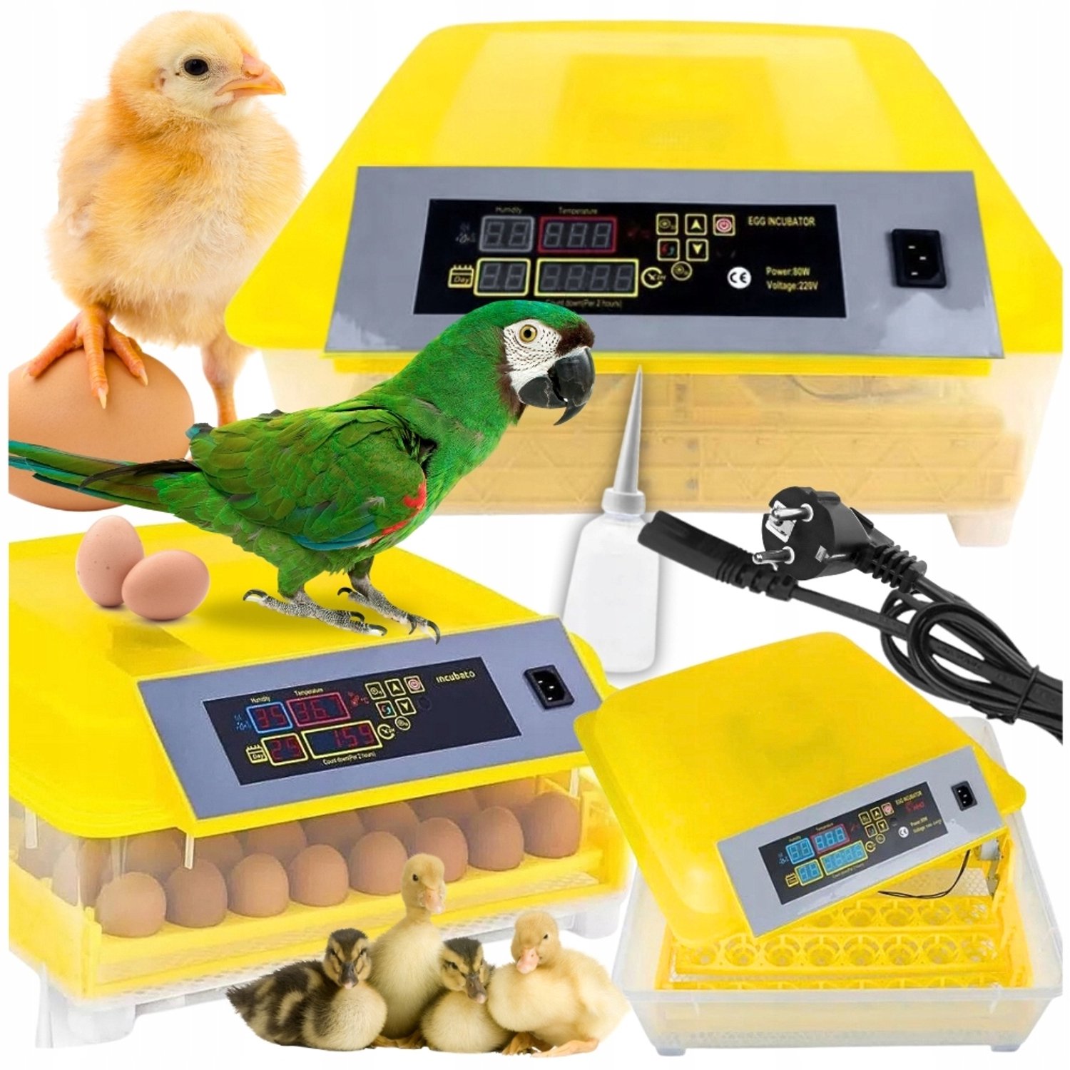Automatische Incubator voor 48 Eieren - Precisie Temperatuur & Vochtigheid