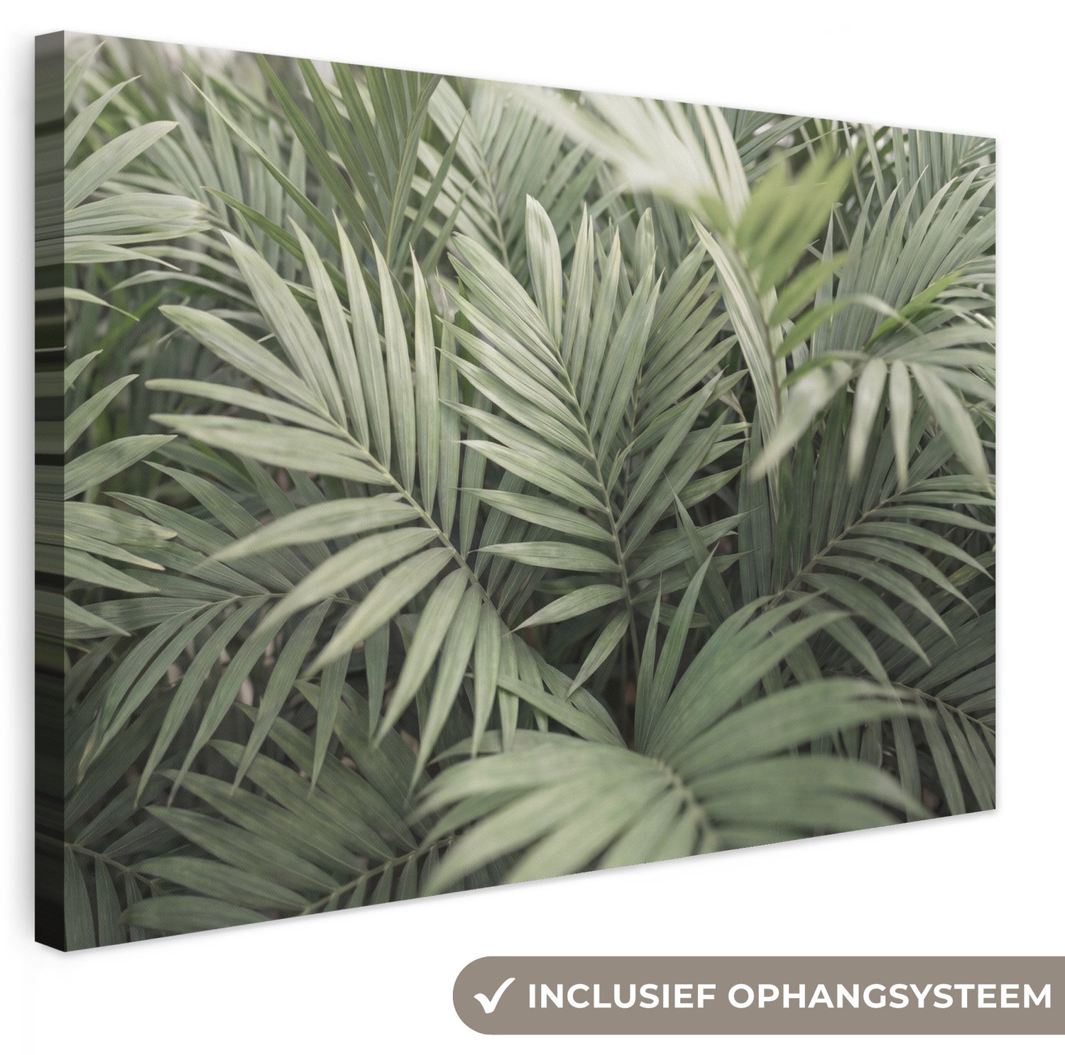 Canvas schilderij 60x40 cm - Exclusieve wanddecoratie Plant - Palmbladeren - Natuur - Groen - Muurdecoratie woonkamer - Slaapkamer decoratie - Kamer accessoires - Schilderijen op canvas
