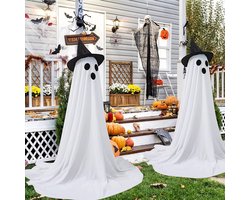 Halloween Spook Decoratie met Heksenhoed en LED Verlichting – 8 Lichtstanden & Timer – Ver