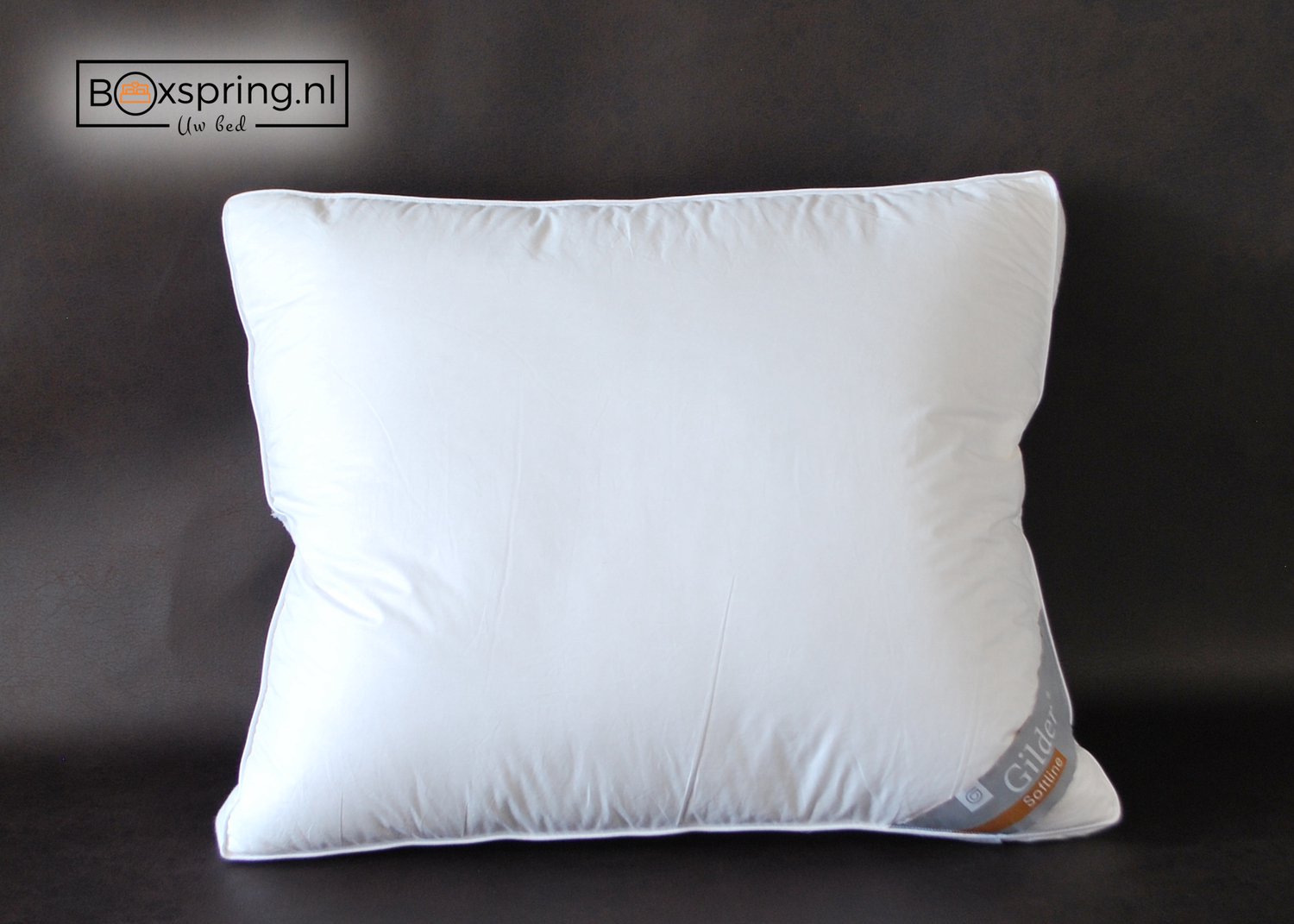 Gilder hoofdkussen Dons Softline-Firm, 60x70cm