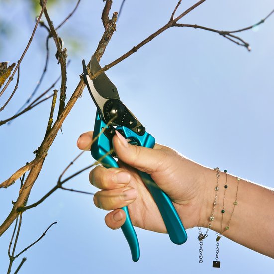 Felco 6 Color Edition Snoeischaar - Voor Middelgrote Handen - Knipt tot Ø 20 mm | Blauw — afbeelding 4