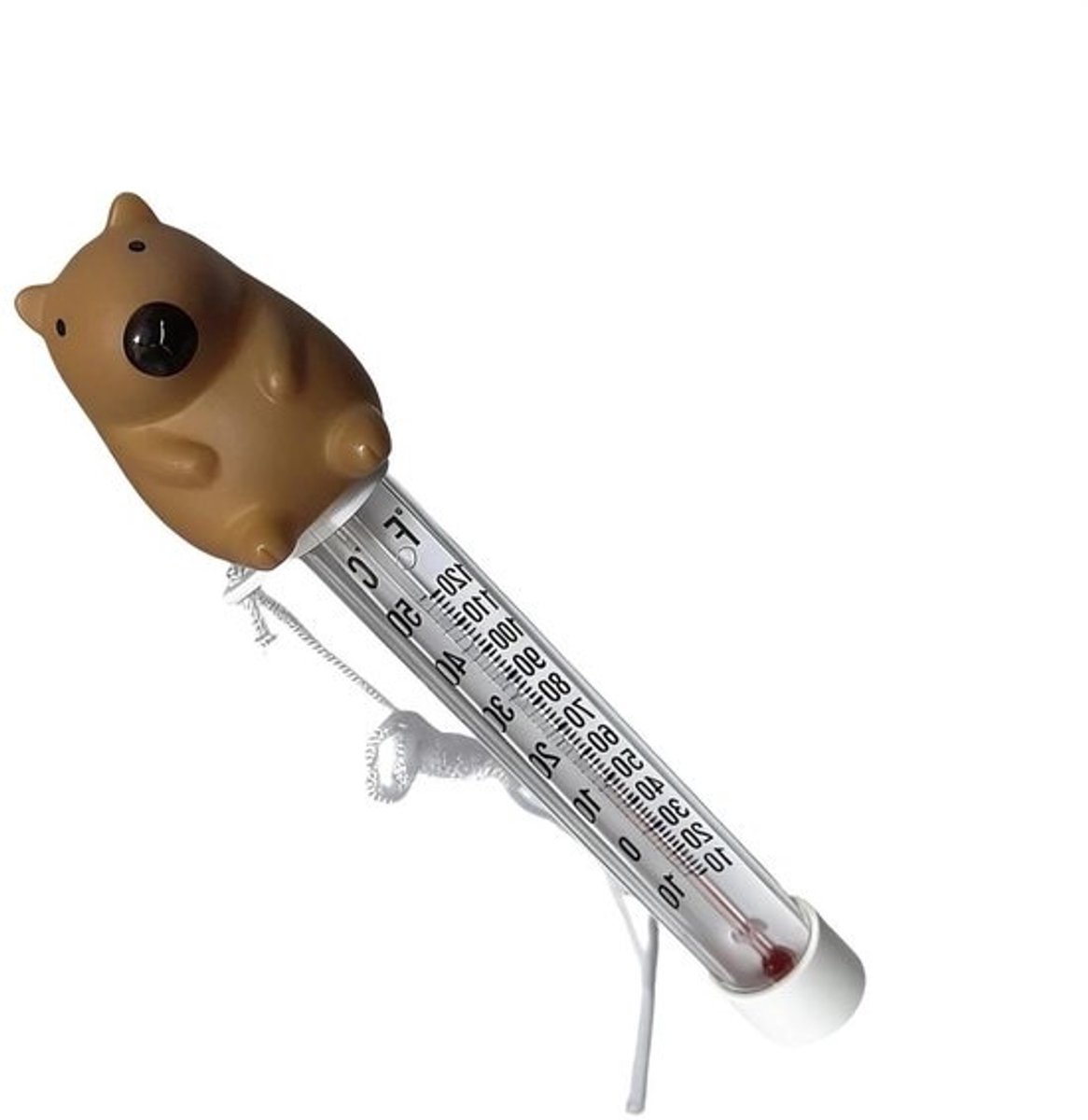 Zwembadthermometer Drijvend - Badwatertester - Water Temperatuur Meten - Eenvoudig Afleesbaar - 22 Centimeter - Meerdere Kleuren