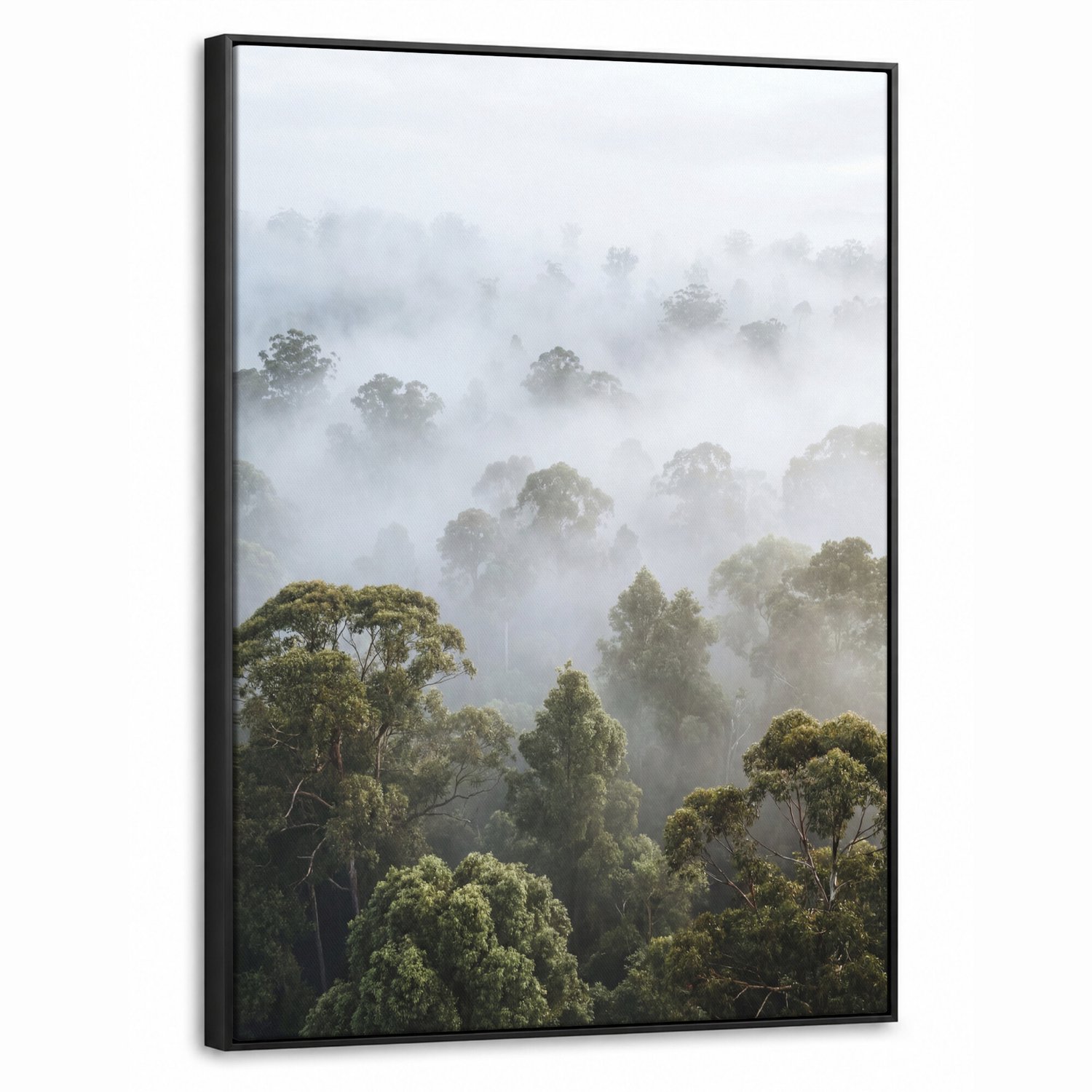 Canvas Schilderij met Baklijst - Natuur - Mist - Bos - Ochtend - Goud
