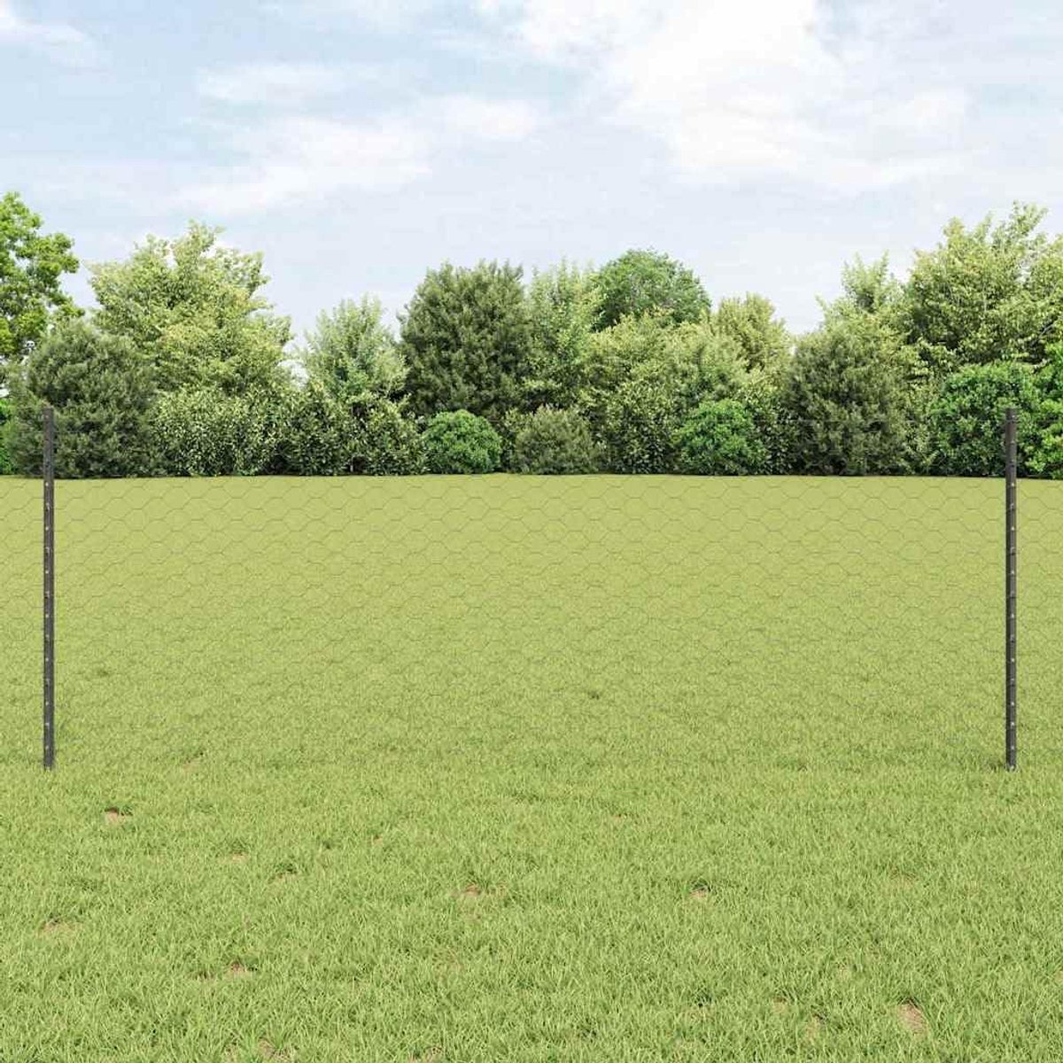 Omheining met palen grijs: set van gepoedercoate buitenhekpanelen, aanpasbaar en uv-bestendig voor duurzame afbakening in tuin en terras.