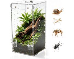 Homtone Acryl terrarium, insectenterrarium, springspin terrarium, slakkenterrarium met magnetische deur en voederopening, geschikt voor springspinnen, slakken en insecten (10 × 10 × 20 cm)