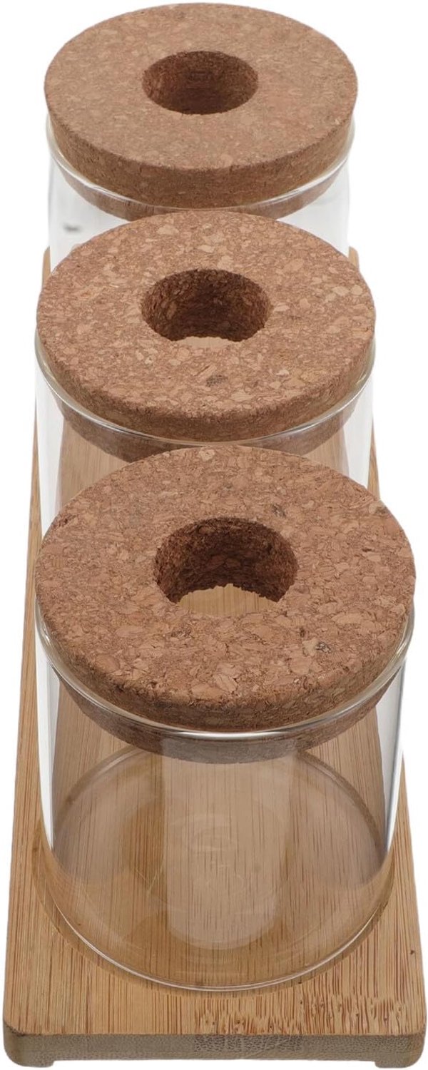 Hydroponische Glazen Plantenvaas met Standaard Deksel Transparante Voortplantingspot voor Vetplanten Terrarium Decoratief Geschikt voor Kantoor Keuken Desktop
