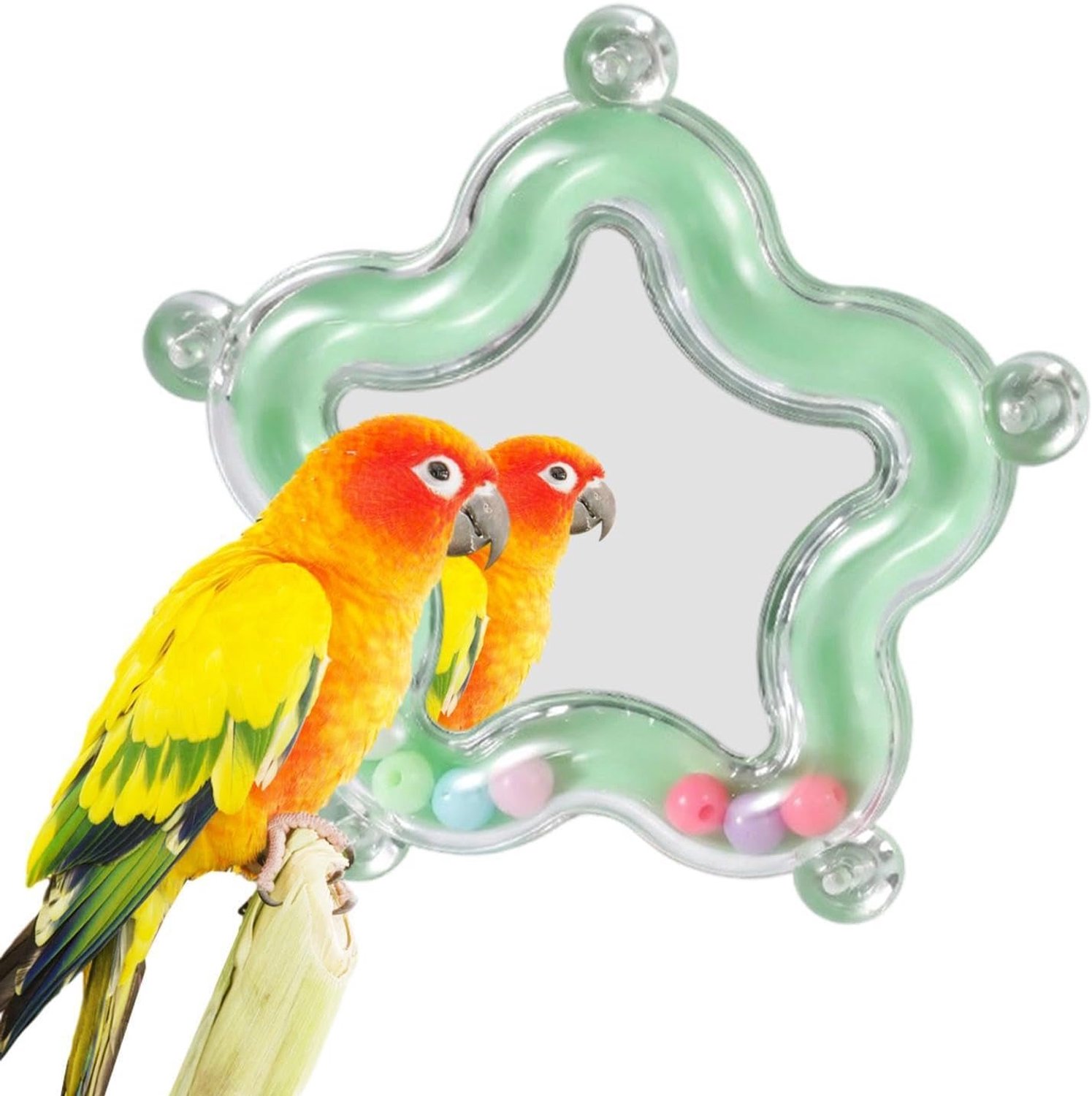 Parkiet Spiegel voor Kooi Roterende Lovebirds Kauwend met Geluid