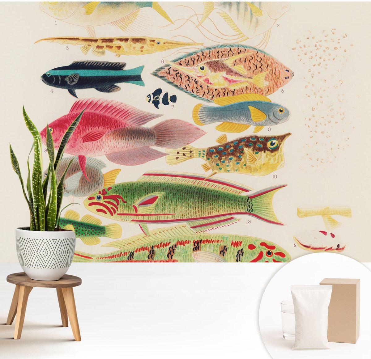 Wallfluent Fotobehang - Beige Vliesbehang - 208x146 cm - Kleurrijke Vissen Muurschildering - Gang behang Dieren - Fotobehang Vlies - Slaapkamer behang