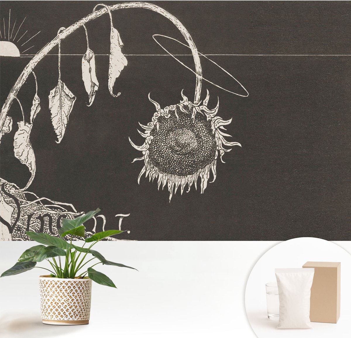 Wallfluent Fotobehang - Zwart Vliesbehang - 152x104 cm - Nostalgische Zonnebloem Muurschildering - Slaapkamer behang Deel - Fotobehang Vlies - Slaapkamer behang