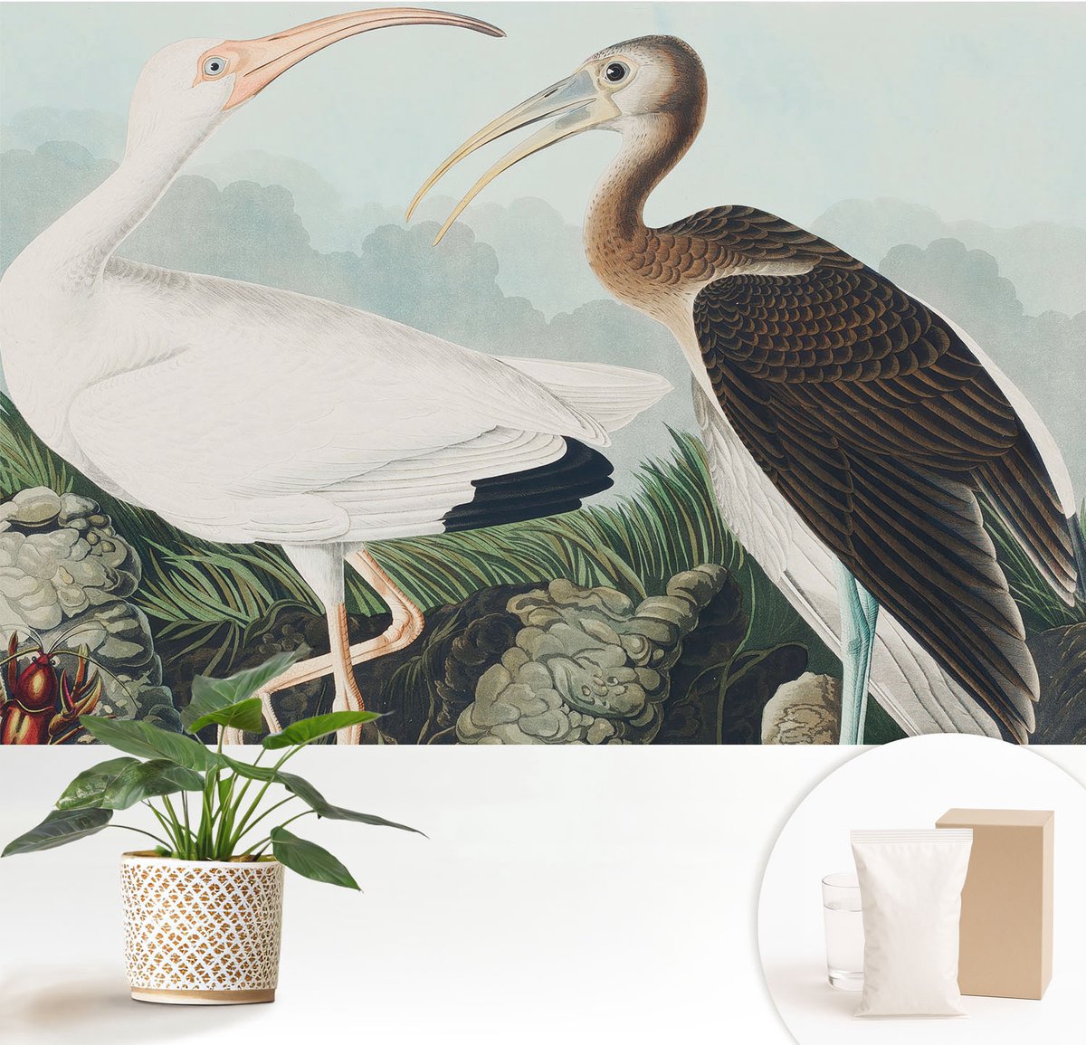 Wallfluent Fotobehang - Wit Vliesbehang - 152x104 cm - Vogelpaar Muurschildering - Gang behang Dieren - Fotobehang Vlies - Slaapkamer behang