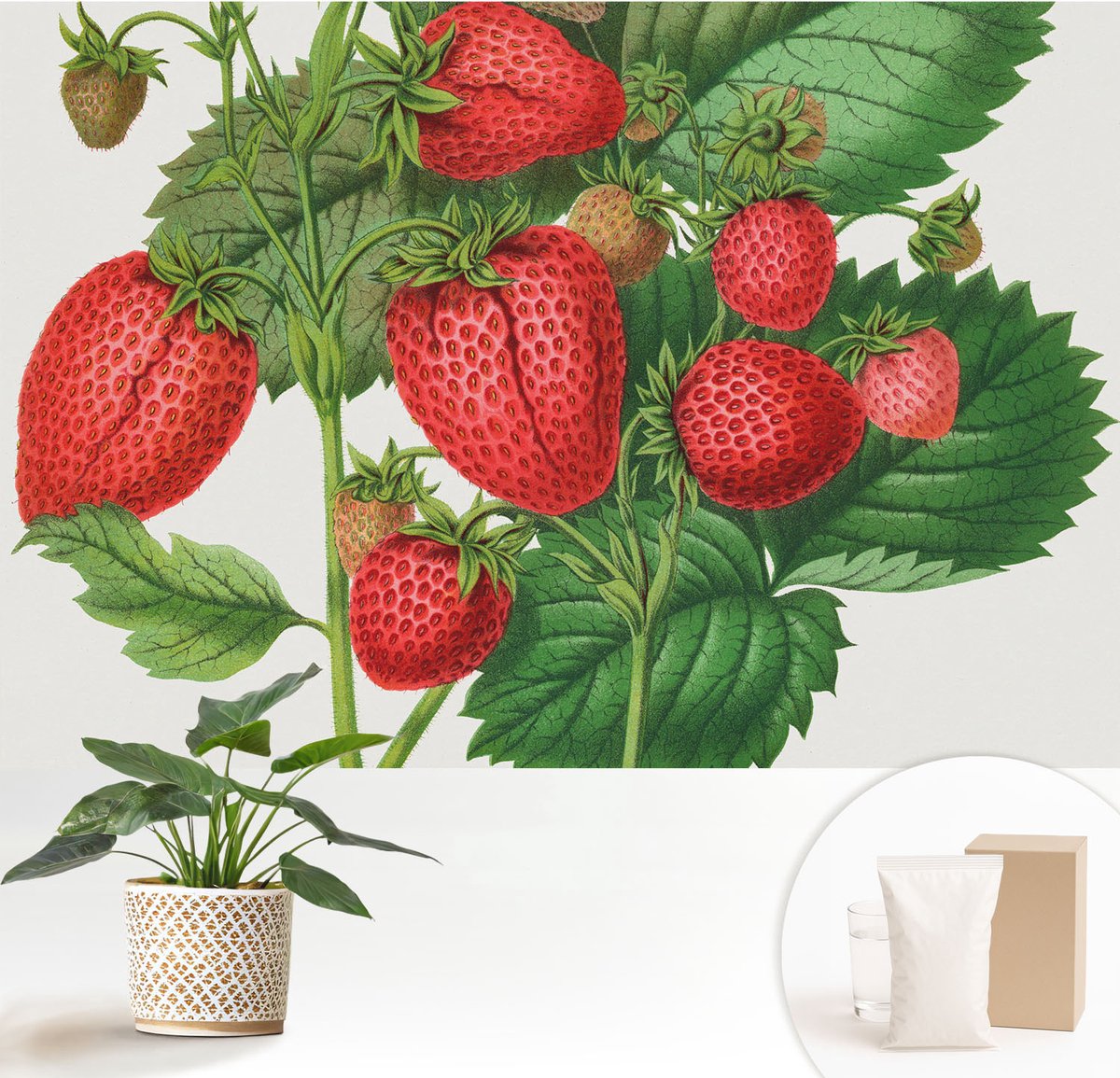 Wallfluent Fotobehang - Groente Vliesbehang - 152x104 cm - Zomerfruit Muurschildering - Slaapkamer behang Bloemen En Planten - Fotobehang Vlies - Slaapkamer behang