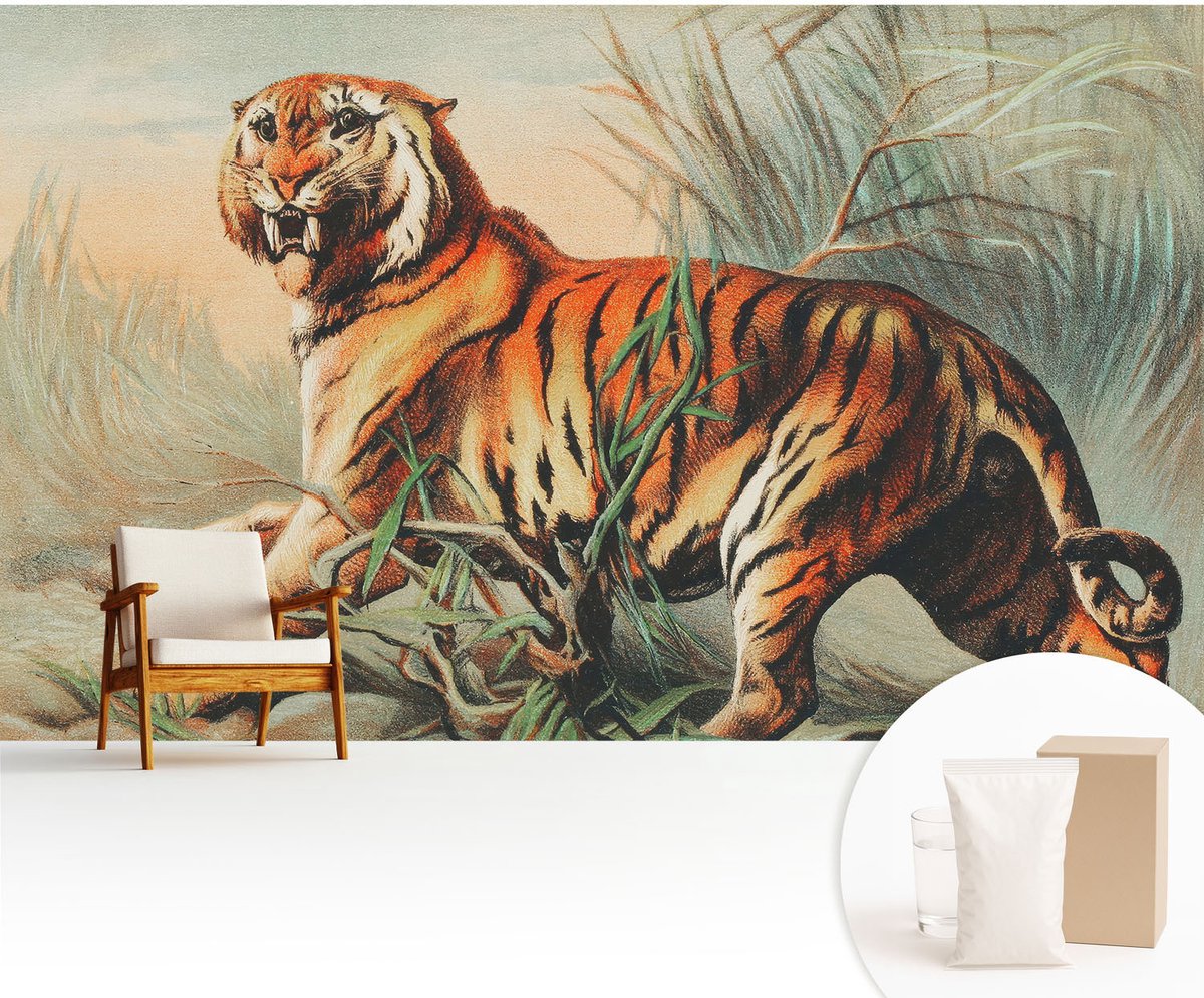 Wallfluent Fotobehang - Oranje Vliesbehang - 416x254 cm - Tijger Natuur Muurschildering - Gang behang Dieren - Fotobehang Vlies - Gang behang