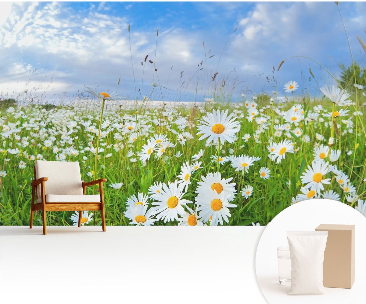 Wallfluent Fotobehang - Wit Vliesbehang - 416x254 cm - Zomerweide Muurschildering - Gang behang Bloemen En Planten - Fotobehang Vlies - Slaapkamer behang