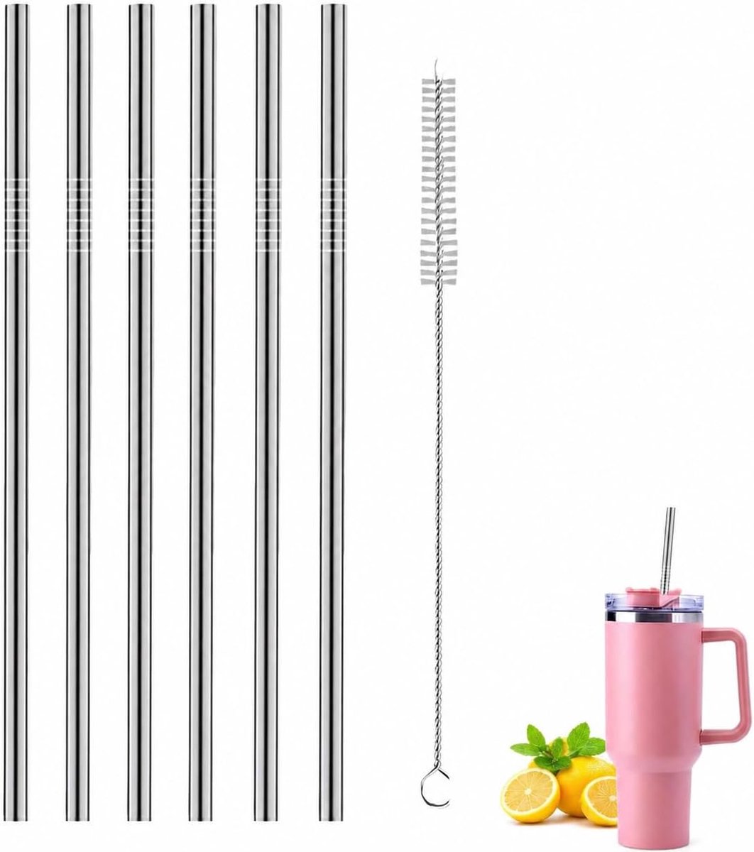 6-delige roestvrijstalen rietjes set 30 cm met reinigingsborstel herbruikbare metalen drinkrietjes voor bekers, thermosflessen, smoothies en koude dranken