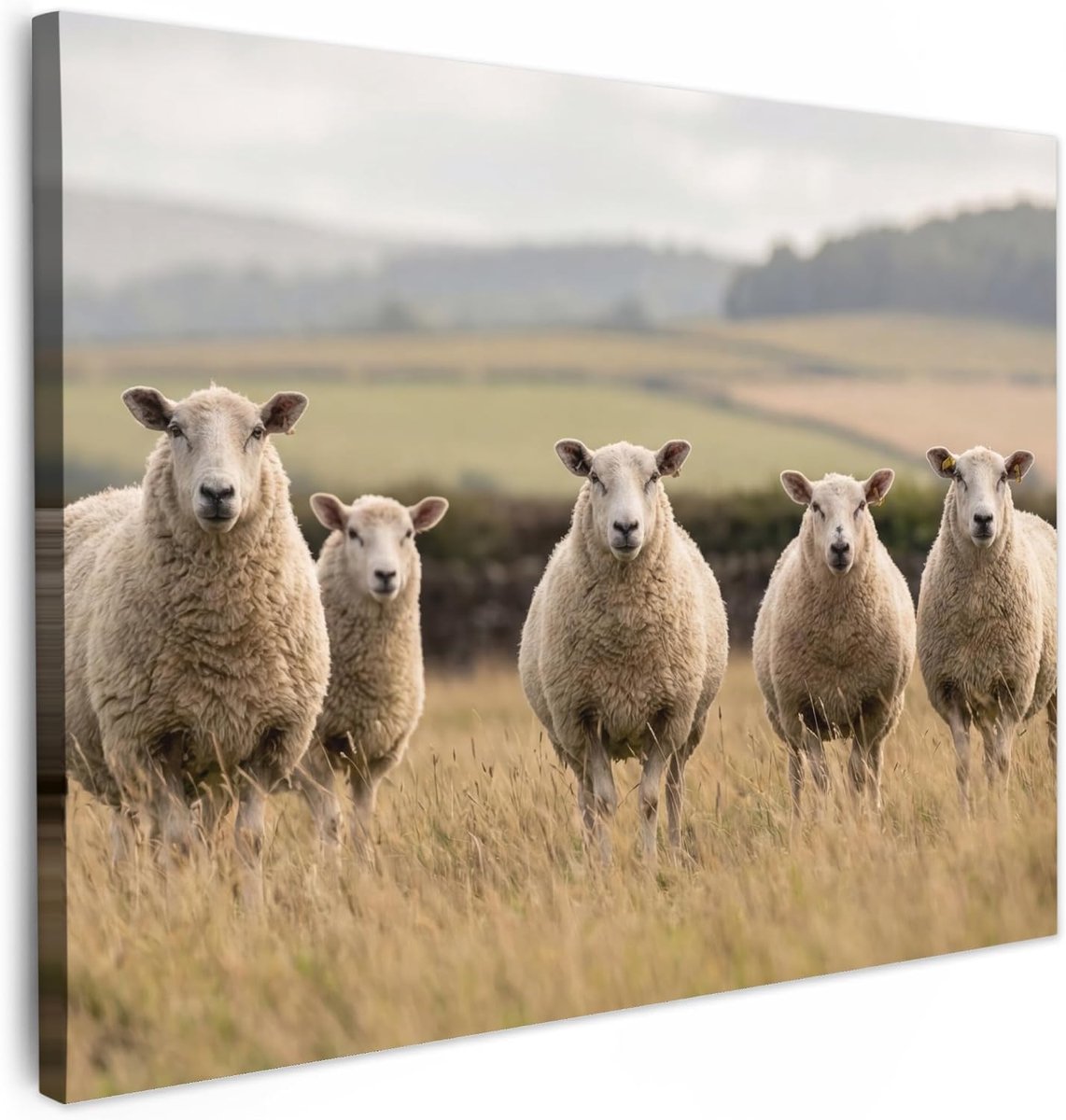 Tuinschilderij 80x60 cm Room Decor Kamer Decoratie Terras Wanddecoratie Wall Balkon Decoration Canvas Muur Art Painting Schapen - Weidenlandschap - Heuvels