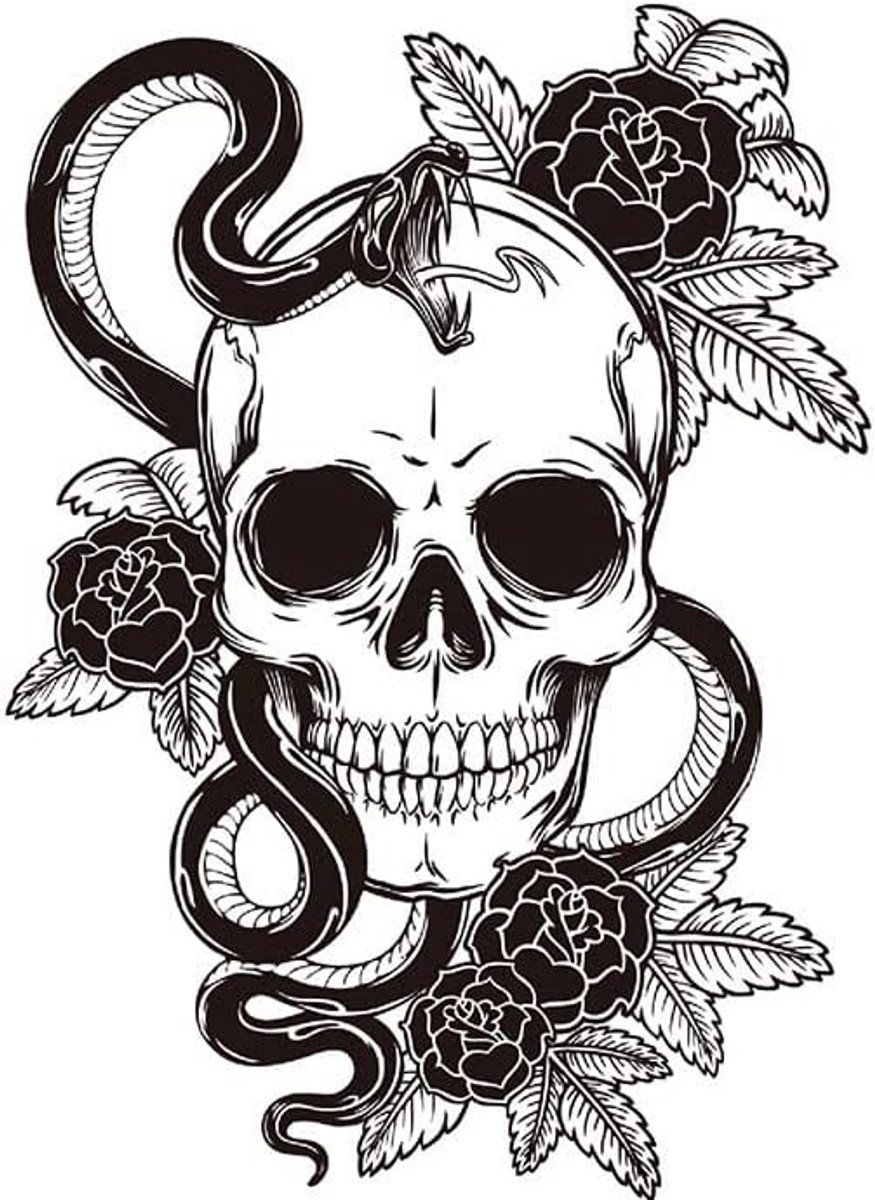 Tattoo Slang Tattoo Schedel Tattoo Schedel Tattoo Fake Tattoo Deadhead Tattoo WS741