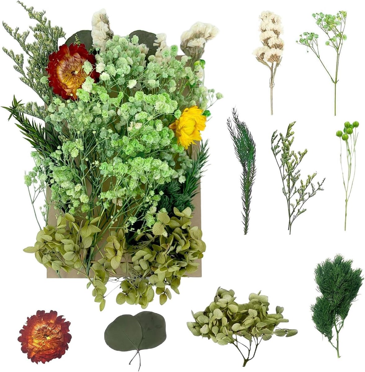 Gedroogde Bloemen voor DIY Kunst, Resin, Scrapbooking en Sieraden - Persbloemen voor Creatieve Decoraties (Groen)