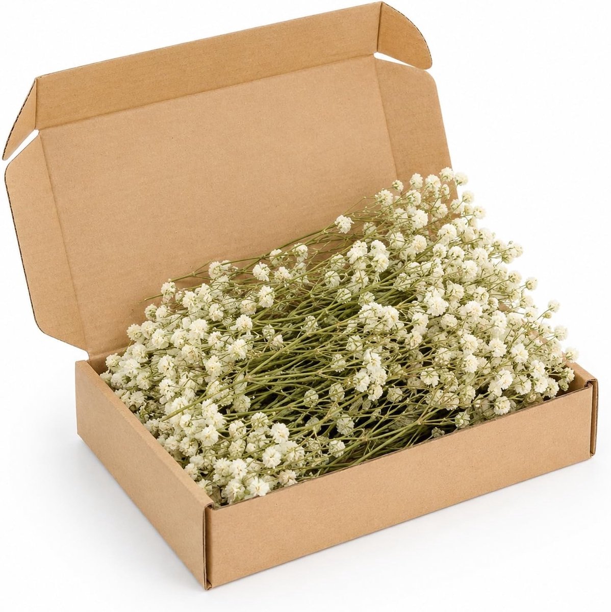 Drogende Orchideeën voor Decoratie, Bloemstukken en Creatieve Projecten