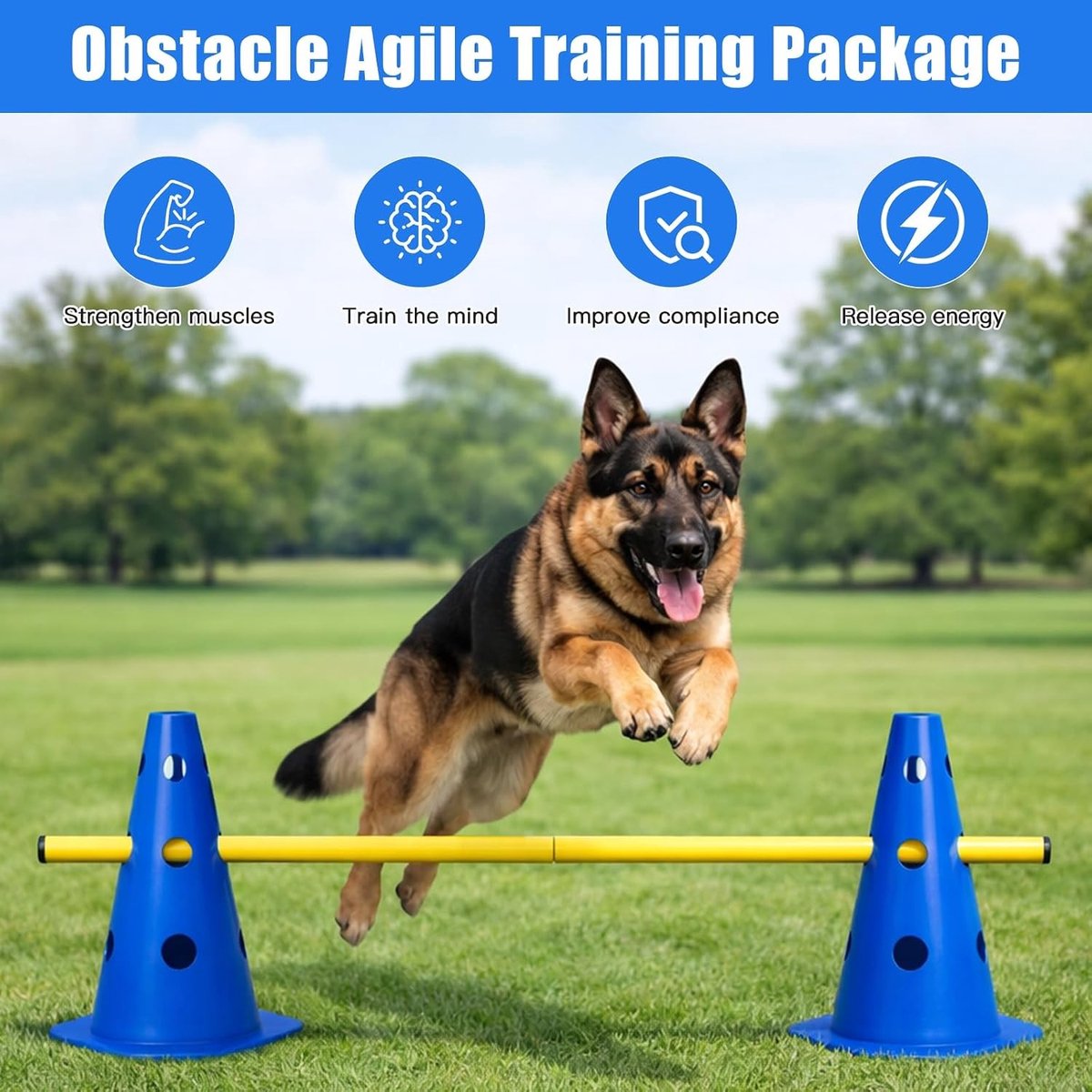 Agility Hurdle Set voor Honden, Verstelbare Obstakels voor Training met 10 Cones en 5 Stokken, Ideaal voor Sport en Fysieke Activiteit
