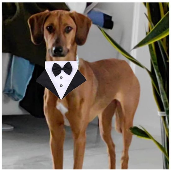 Formelles Smoking Hondenhalsdoek - Verstelbare Driehoekige Sjaal voor Honden — afbeelding 5