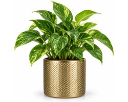 Mica Decorations Bloempot - goud - relief - keramiek - 13 x 12 cm - plantenpotten binnen