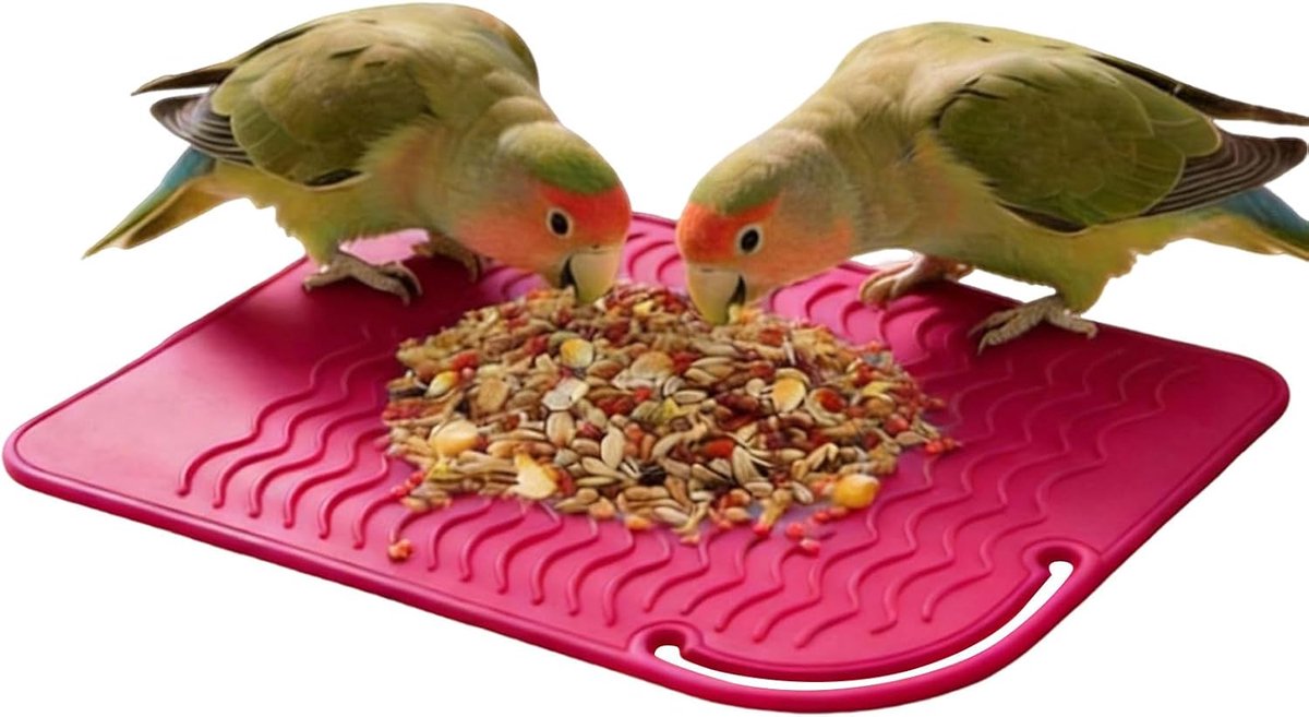 Speelgoed Voor Vogels Siliconen Puzzelvoederbak