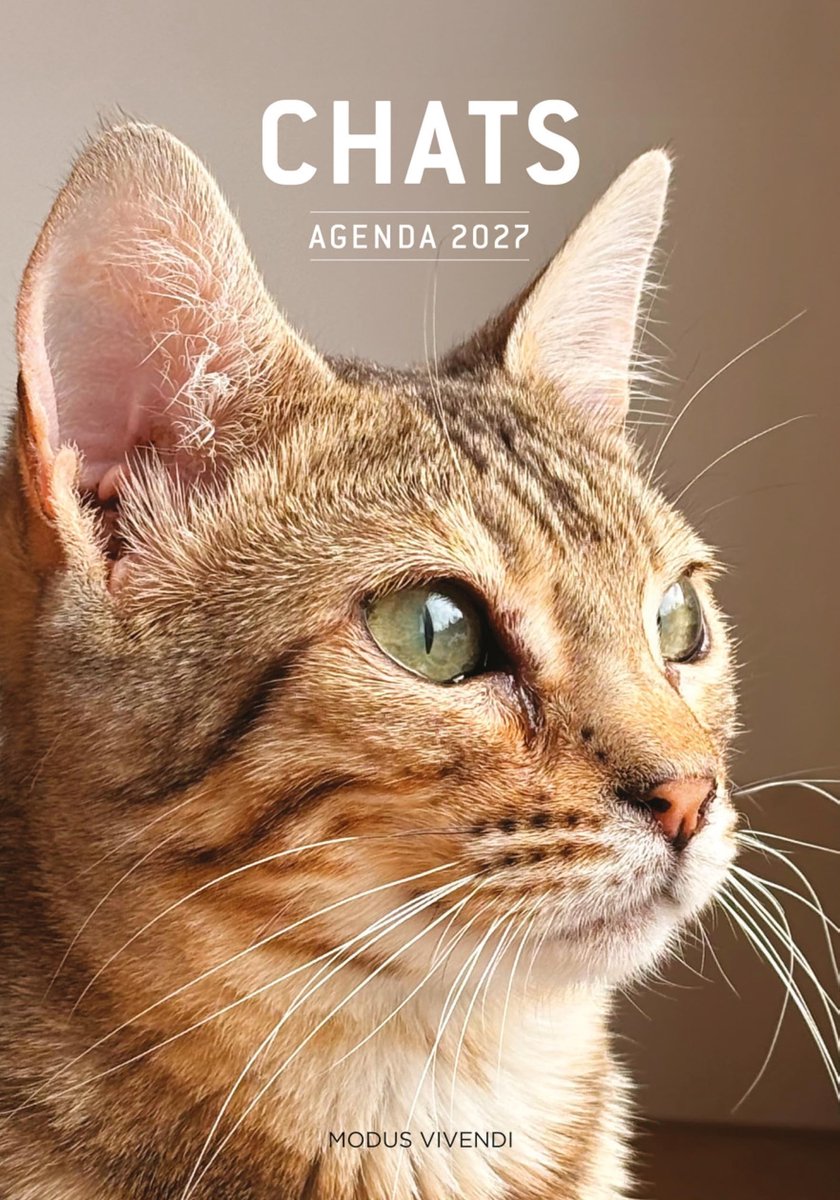 Agenda 2027 voor Effectieve Planning