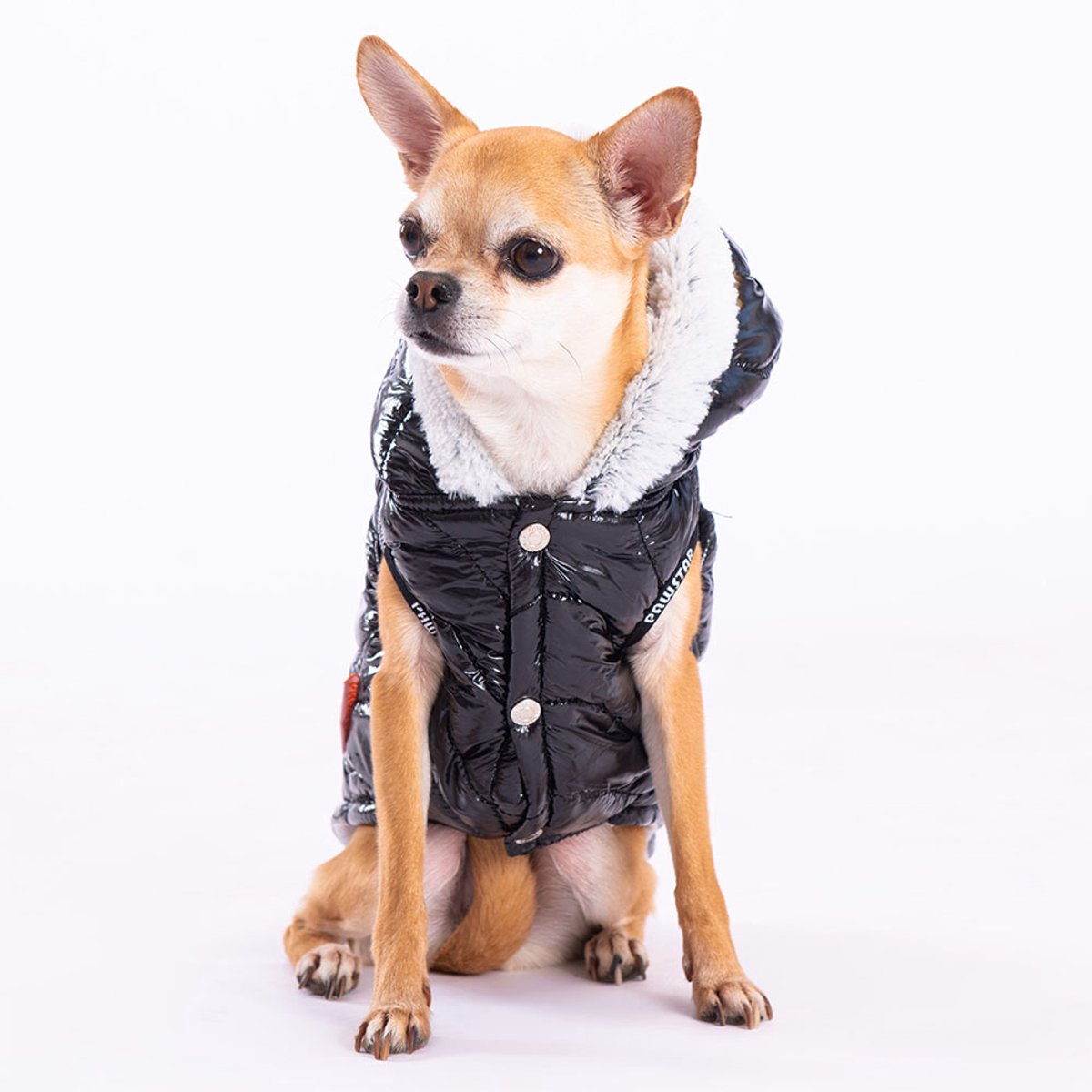Pawstar Light Wave - Hondenbodywarmer - Zwart - L