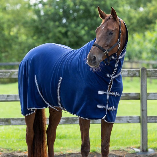 Bruin paard draagt een donkerblauwe fleece halsdeken met zilveren gespen en gestreepte biezen.