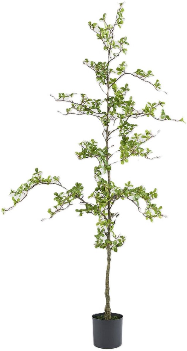 EDG - Kunstplant - groen - D25 x H195 cm