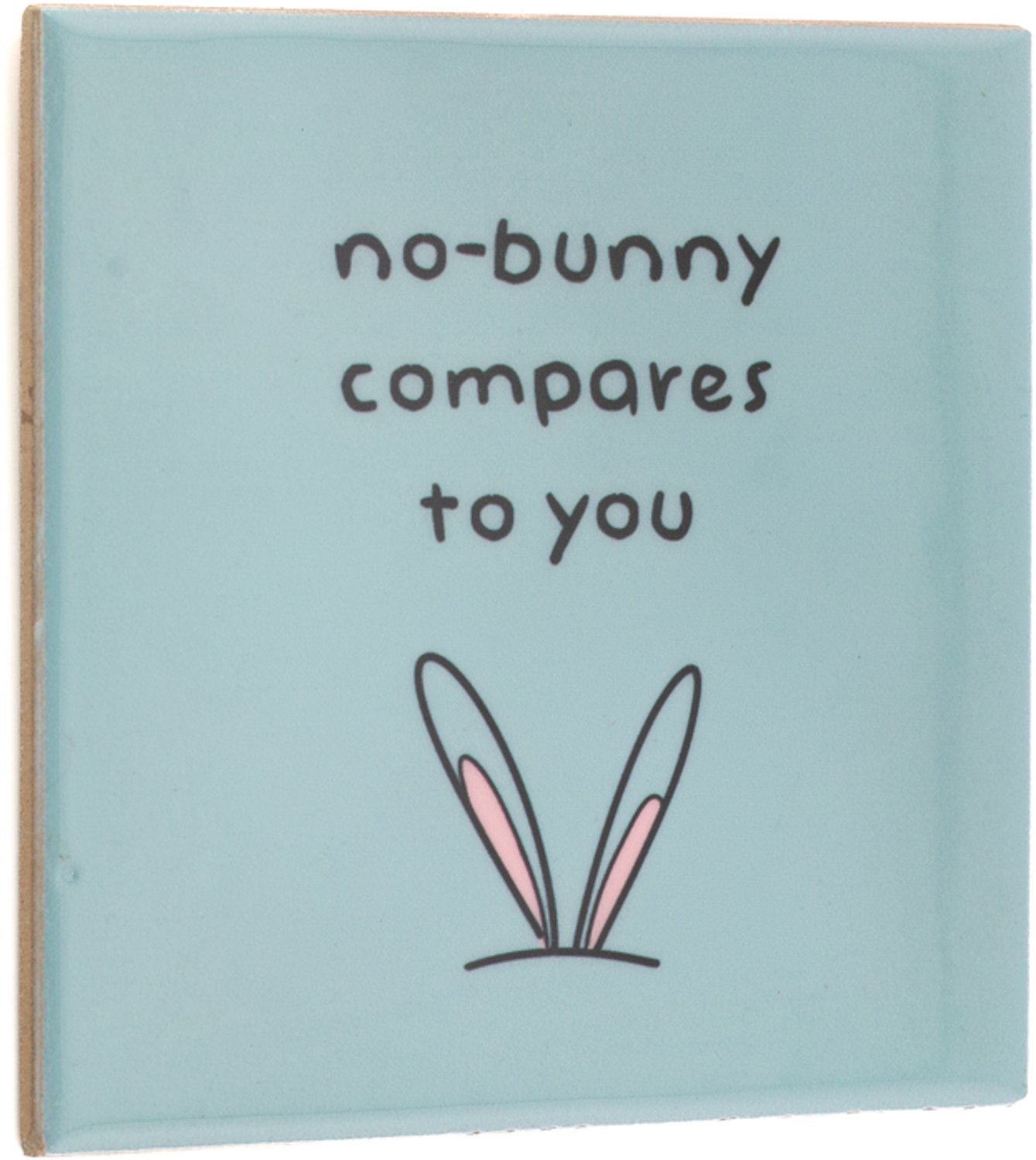 Tegeltje No-bunny compares