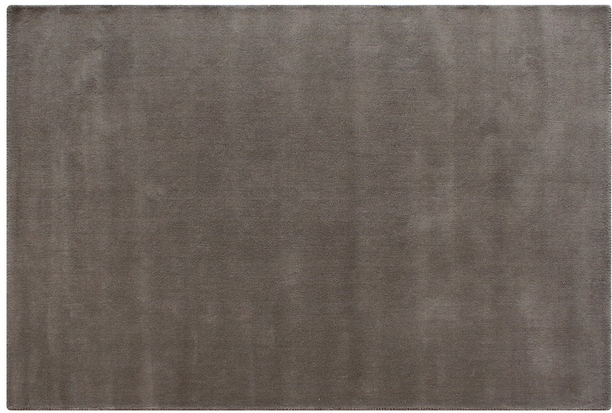 Vente-unique Vloerkleed 100% wol handgeweven - 160 x 230 - Taupe - 1800g/m² - SELINA