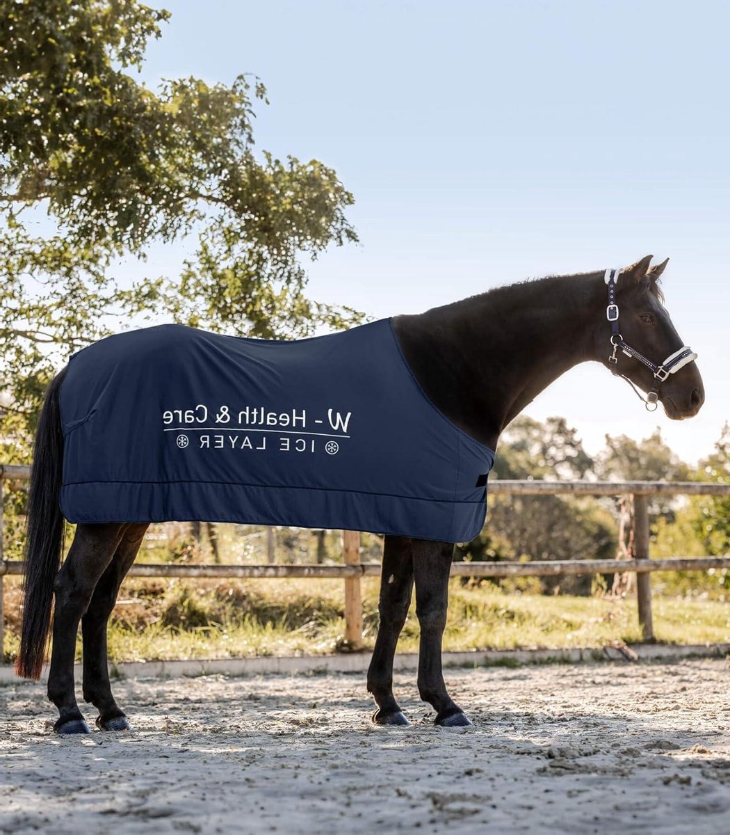 Paard Koeldeken - Zomerdeken Paard - Paard Afkoelen - Innovatieve Ice Layer - 165 cm - Nachtblauw