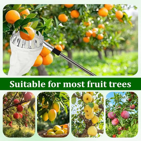 Telescopische Fruitplukker tot 4 Meter met Katoenen Zak voor Struikgewas — afbeelding 4