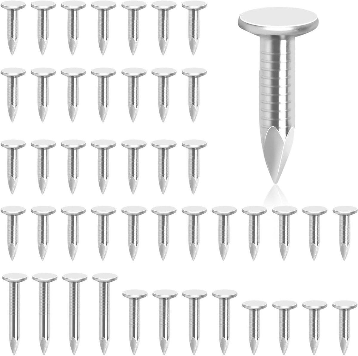 Dakviltnagels - Dakpennen Viltnagels - Dakbedekking Bevestigen - Verzinkt Stalen Constructie - 3/4 inch - Zilverkleurig