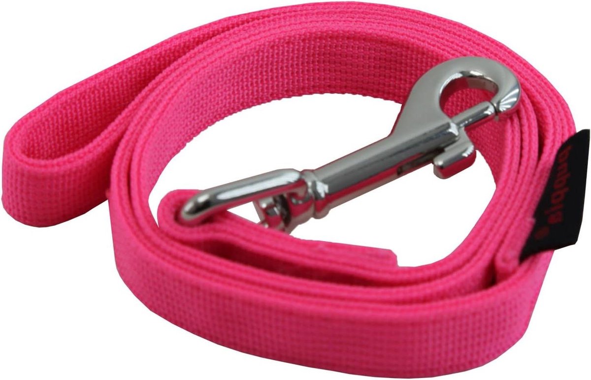 Hondenlijn - Hondenriem - Veilig Wandelen - Nikkelen D-ring - 1.2 x 122 cm - Roze