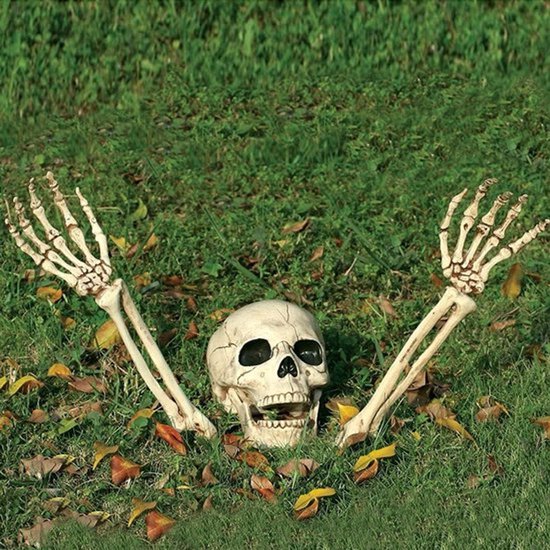 Halloween Decoratie Nep Skelet Hoofd En Handen - 3 Stuks - Schedel en Handen - Menselijke Plastic Skeletten - Halloween Feestartikelen - Decoraties voor House Halloweenfeest.