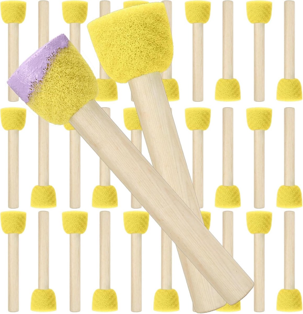 30 Stuks Ronde Sponskwasten en Penseelset voor Schilderen, Knutselen en DIY Projecten
