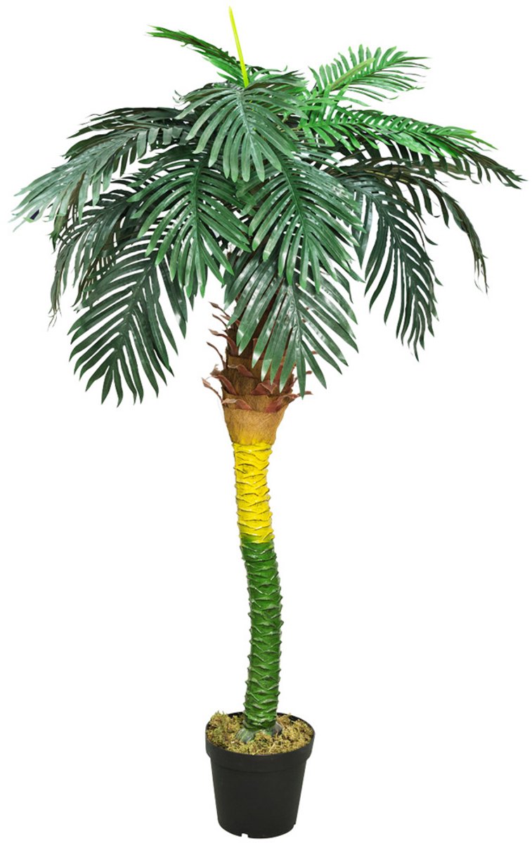 Kunstmatig Valse Royal Palm Plant Boom 180cm Decoratie Binnenin DECOVEGO