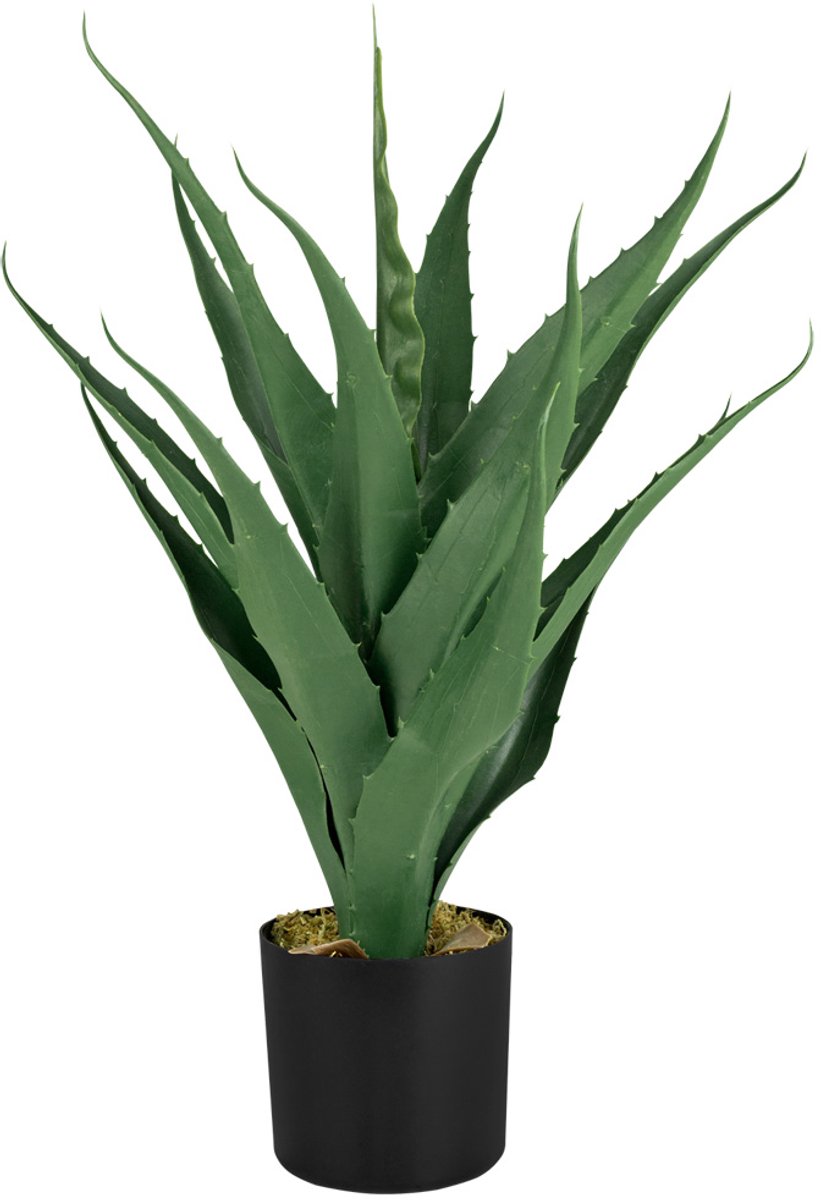 Decovego Kunstmatige Aloë Vera Kamerplant, Plastic Plant, 55 cm voor Binnen, Gemakkelijk te Verzorgen en Decoratief