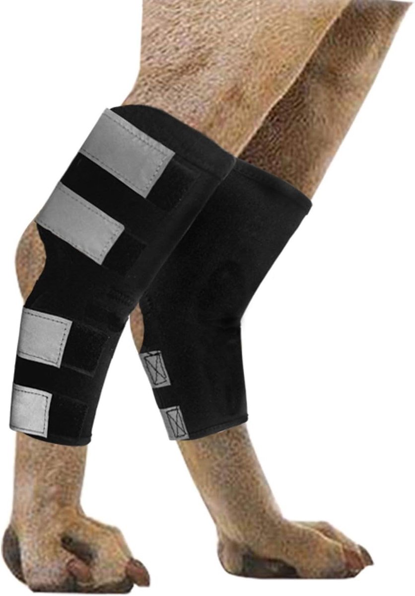 Hondensteun voor achterpoten met beschermende compressiewraps en gewrichtsbandages voor herstel van blessures